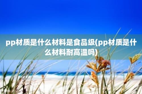 pp材质是什么材料是食品级(pp材质是什么材料耐高温吗)