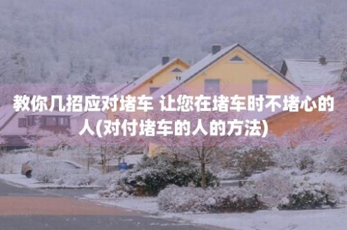 教你几招应对堵车 让您在堵车时不堵心的人(对付堵车的人的方法)