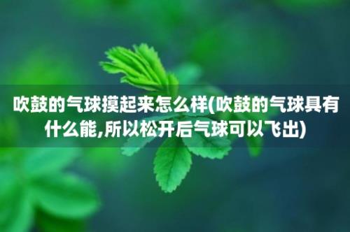 吹鼓的气球摸起来怎么样(吹鼓的气球具有什么能,所以松开后气球可以飞出)