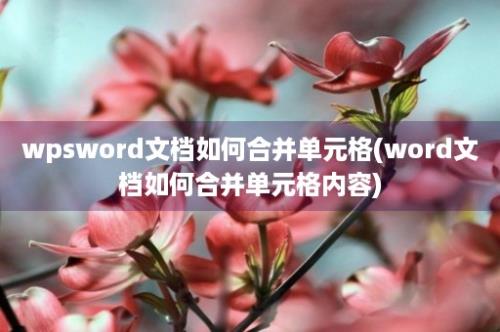 wpsword文档如何合并单元格(word文档如何合并单元格内容)