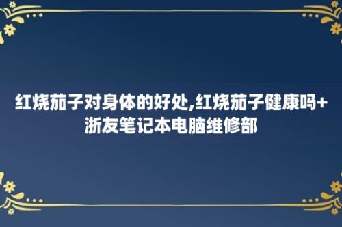 红烧茄子对身体的好处,红烧茄子健康吗+浙友笔记本电脑维修部