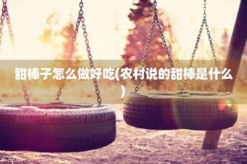 甜棒子怎么做好吃(农村说的甜棒是什么)