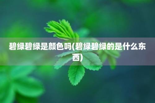 碧绿碧绿是颜色吗(碧绿碧绿的是什么东西)