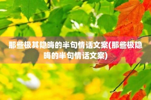 那些极其隐晦的半句情话文案(那些极隐晦的半句情话文案)