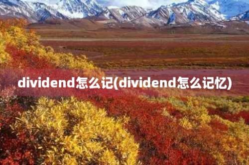 dividend怎么记(dividend怎么记忆)