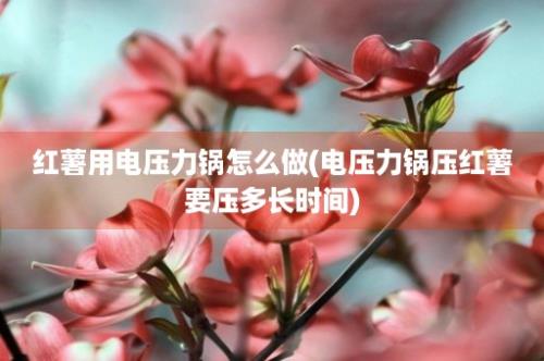 红薯用电压力锅怎么做(电压力锅压红薯要压多长时间)