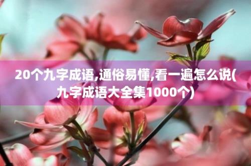 20个九字成语,通俗易懂,看一遍怎么说(九字成语大全集1000个)