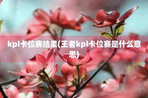 kpl卡位赛结果(王者kpl卡位赛是什么意思)