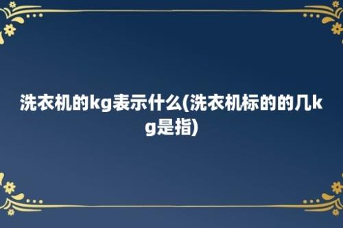 洗衣机的kg表示什么(洗衣机标的的几kg是指)