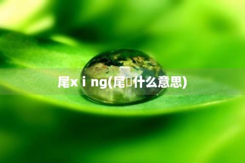 尾xⅰng(尾枮什么意思)