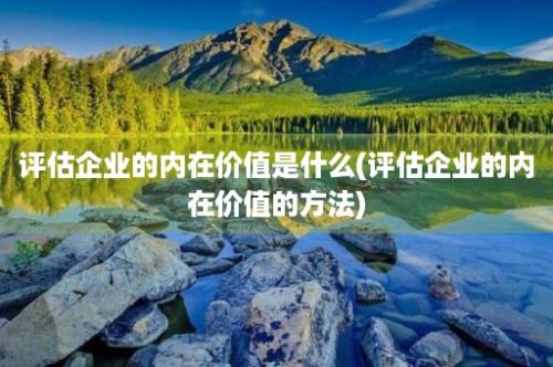 评估企业的内在价值是什么(评估企业的内在价值的方法)