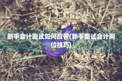 新手会计面试如何应答(新手面试会计岗位技巧)