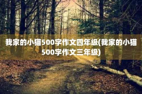 我家的小猫500字作文四年级(我家的小猫500字作文三年级)