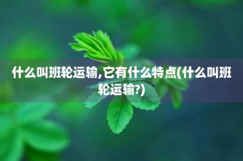 什么叫班轮运输,它有什么特点(什么叫班轮运输?)