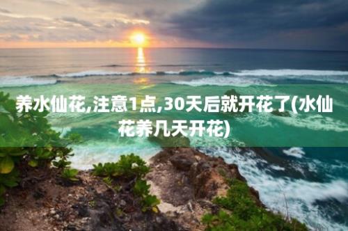 养水仙花,注意1点,30天后就开花了(水仙花养几天开花)