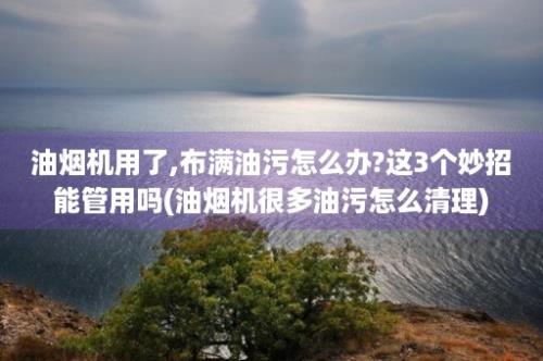 油烟机用了,布满油污怎么办?这3个妙招能管用吗(油烟机很多油污怎么清理)