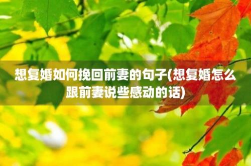 想复婚如何挽回前妻的句子(想复婚怎么跟前妻说些感动的话)