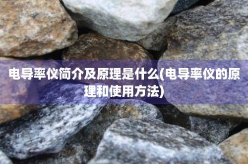 电导率仪简介及原理是什么(电导率仪的原理和使用方法)