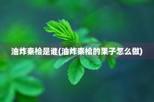 油炸秦桧是谁(油炸秦桧的果子怎么做)