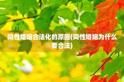 同性婚姻合法化的原因(同性婚姻为什么要合法)