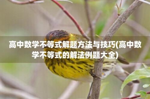 高中数学不等式解题方法与技巧(高中数学不等式的解法例题大全)