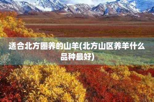 适合北方圈养的山羊(北方山区养羊什么品种最好)