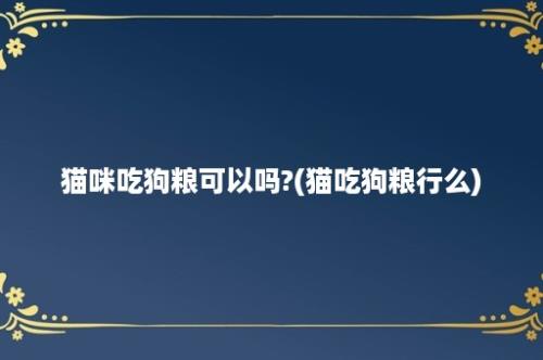 猫咪吃狗粮可以吗?(猫吃狗粮行么)