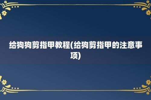 给狗狗剪指甲教程(给狗剪指甲的注意事项)