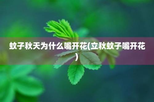 蚊子秋天为什么嘴开花(立秋蚊子嘴开花)