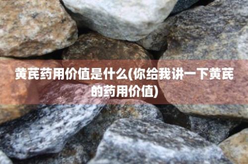 黄芪药用价值是什么(你给我讲一下黄芪的药用价值)