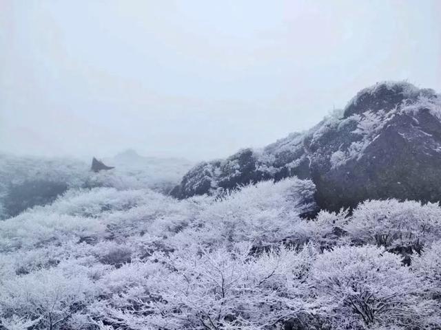 贵州梵净山的冬天雪景（初雪来临梵净山下雪了）(7)