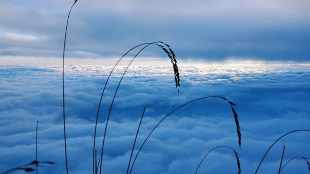 云霞如幻，许你一座最美峨眉山（许你一座最美峨眉山）(1)