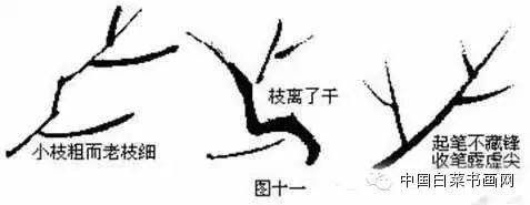 国画初学者入门步骤画梅花（大家一起学学国画梅花的各种画法）(10)