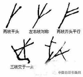 国画初学者入门步骤画梅花（大家一起学学国画梅花的各种画法）(8)