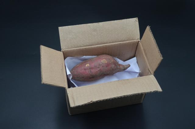 保存红薯最正确的方法（保存红薯有妙招）(3)