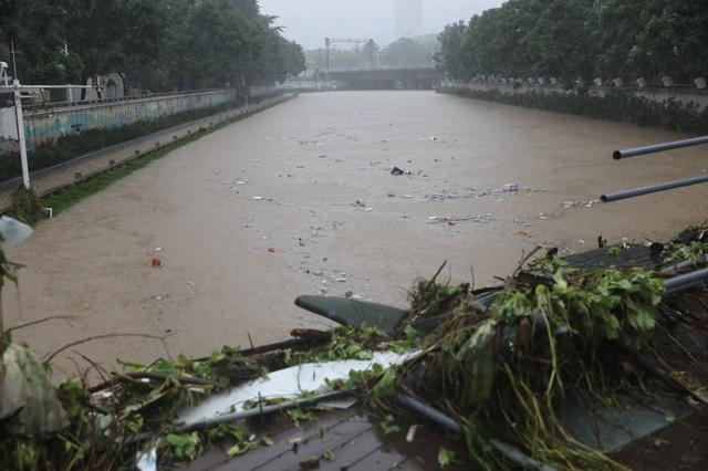 深圳暴雨打破1952年以来极值（最大累计雨量469.0毫米）(3)