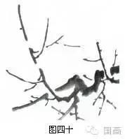 国画初学者入门步骤画梅花（大家一起学学国画梅花的各种画法）(28)