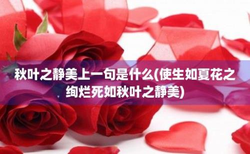 秋叶之静美上一句是什么(使生如夏花之绚烂死如秋叶之静美)