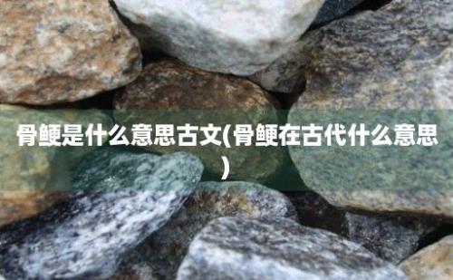 骨鲠是什么意思古文(骨鲠在古代什么意思)