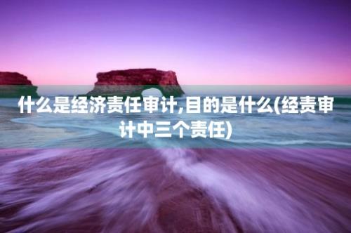 什么是经济责任审计,目的是什么(经责审计中三个责任)