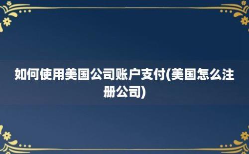 如何使用美国公司账户支付(美国怎么注册公司)