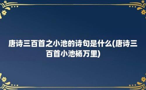 唐诗三百首之小池的诗句是什么(唐诗三百首小池杨万里)