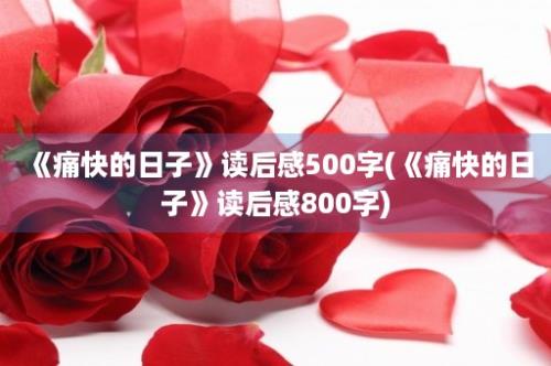 《痛快的日子》读后感500字(《痛快的日子》读后感800字)