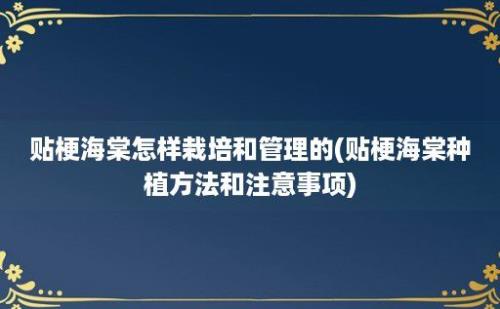 贴梗海棠怎样栽培和管理的(贴梗海棠种植方法和注意事项)