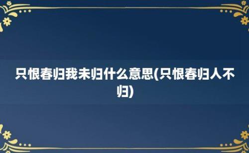 只恨春归我未归什么意思(只恨春归人不归)