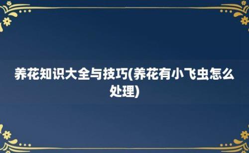 养花知识大全与技巧(养花有小飞虫怎么处理)