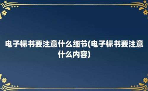 电子标书要注意什么细节(电子标书要注意什么内容)