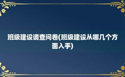 班级建设调查问卷(班级建设从哪几个方面入手)