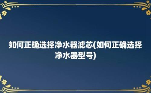 如何正确选择净水器滤芯(如何正确选择净水器型号)