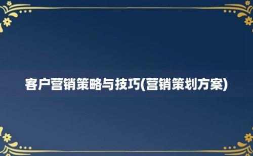 客户营销策略与技巧(营销策划方案)